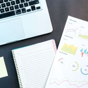 User Insights Survey - 2020 Results